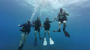 Hotel and Dive Center Roatan Yacht Club