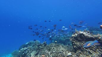 Hotel and Dive Center Roatan Yacht Club