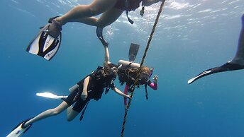 Hotel and Dive Center Roatan Yacht Club