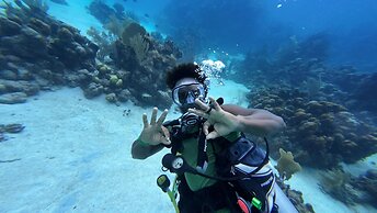 Hotel and Dive Center Roatan Yacht Club