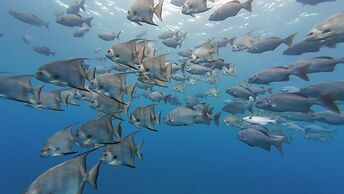 Hotel and Dive Center Roatan Yacht Club