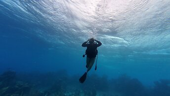 Hotel and Dive Center Roatan Yacht Club