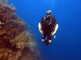 Hotel and Dive Center Roatan Yacht Club