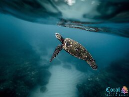 Coral View Hotel & Resort