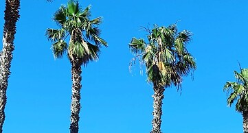 Palm Beach Club Casteldaccia