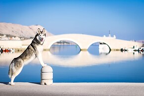 Comfy Little Couple Apartment a3