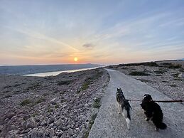 Comfy Little Couple Apartment a3