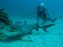 Hotel Jinetes de Osa
