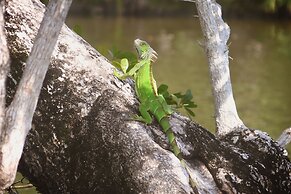 El Gran Mestizo Resort