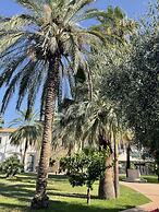 Al Balhara Resort & Spa