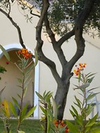 Natalia Apartment B With Panoramic sea Views of Agios Gordios bay