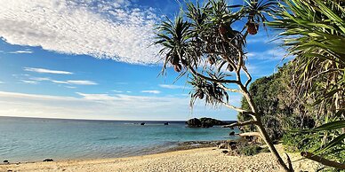 Maeda Misaki Grand Blue 403