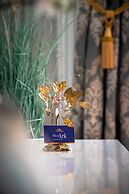 Blue Ark Acropolis Light