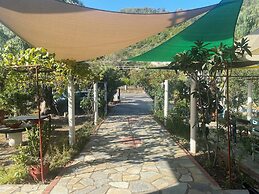 Blue Bay Beach Hotel