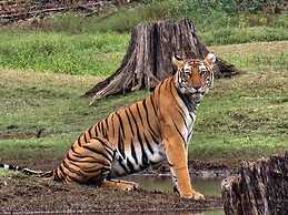 Regenta Jungle Resort Kabini Springs