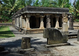 Regenta Jungle Resort Kabini Springs