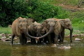 Regenta Jungle Resort Kabini Springs