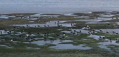 Entire 1bed Studio With Ensuite, Balcony & Parking