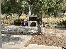 Cosy Calm Cottage in Olive Trees With sea View