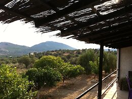 Cosy Calm Cottage in Olive Trees With sea View