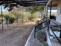 Cosy Calm Cottage in Olive Trees With sea View