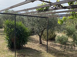 Cosy Calm Cottage in Olive Trees With sea View