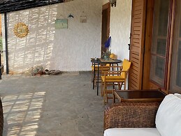 Cosy Calm Cottage in Olive Trees With sea View