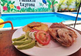 Eco Hostal Manakin Tayrona