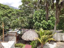Eco Hostal Manakin Tayrona
