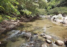 Eco Hostal Manakin Tayrona