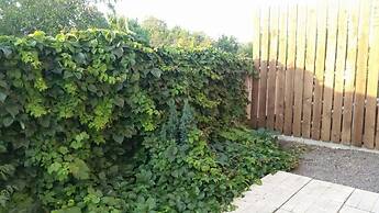 Inviting 1-bed Apartment in Aleksandrovo