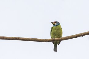 The Riverwood Forest Retreat - Dooars