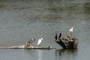 The Riverwood Forest Retreat - Dooars