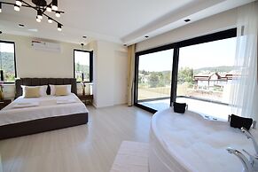 Luxury 4-bed Villa With Private Pool and Jacuzzi