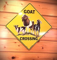 Camptel Poconos Tiny Homes