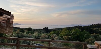 Chaihoutes stone villa into Olive farm in Zia