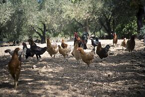 Chaihoutes stone villa into Olive farm in Zia
