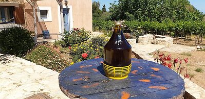 Chaihoutes stone villa into Olive farm in Zia