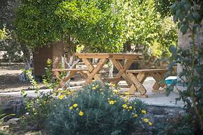 Chaihoutes stone villa into Olive farm in Zia