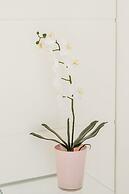 Azzurra, Capri Center