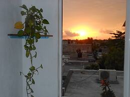 Delicious Loft Only For You