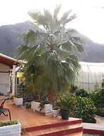 Casa El Cardon A2 Buenavista del Norte