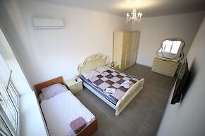 Zemlyanichnaya nomer 1