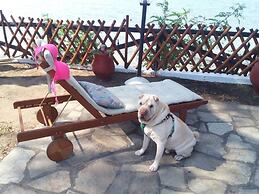 Beutiful House on the Beach in Vourvourou, Greece