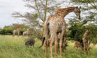 Sleepover Kruger Gate