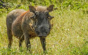 Sleepover Komatipoort