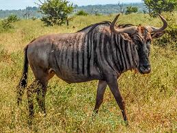 Sleepover Komatipoort