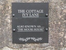 The Mouse House