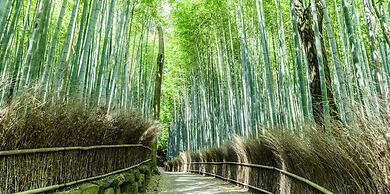 Mimaru Suites Kyoto Central