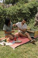 São Brás do Regedouro - Turismo de Aldeia